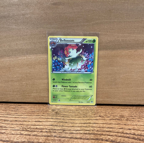 Bellossom(Holo)