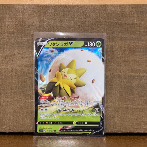 Eldegoss V(Japanese)