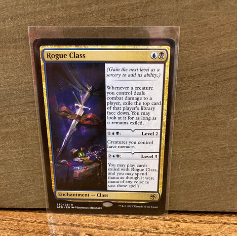 Rogue Class