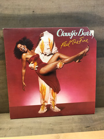 Feel The Fire: Claudja Barry