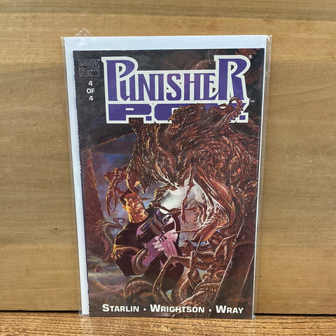 Punisher POV #4(of 4)