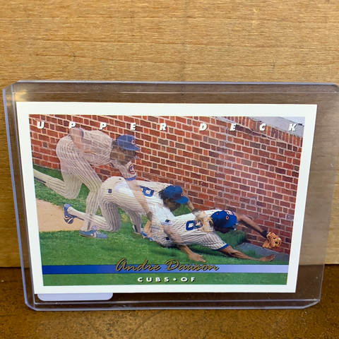 Andre Dawson: Chicago Cubs(1993) #308