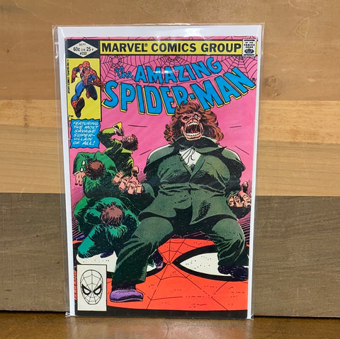 Amazing Spider Man #232
