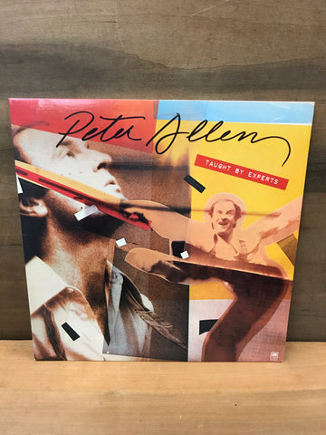 Taught by Experts: Peter Allen