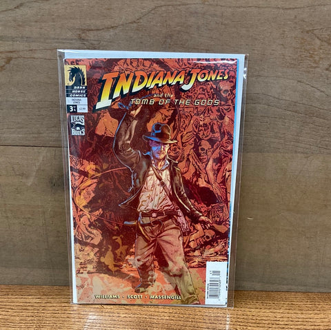 Indiana Jones and the Tomb of the Gods #3