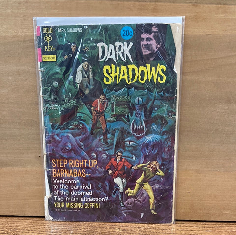 Dark Shadows #21