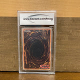 Witch of the Black Forest: Graded BCCG 10