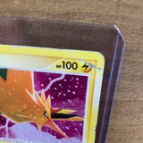 Zapdos(Holo)