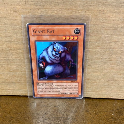Giant Rat