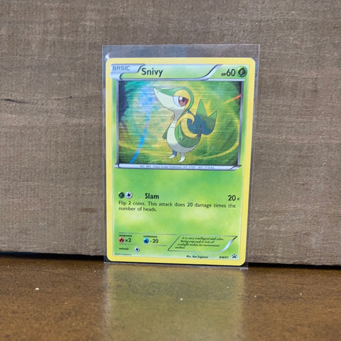 Snivy(Holo)