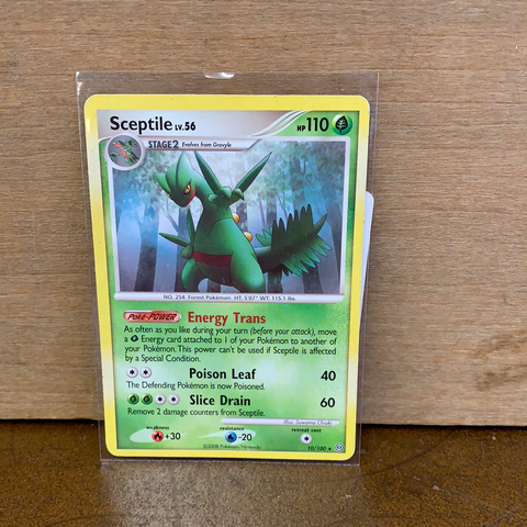 Sceptile