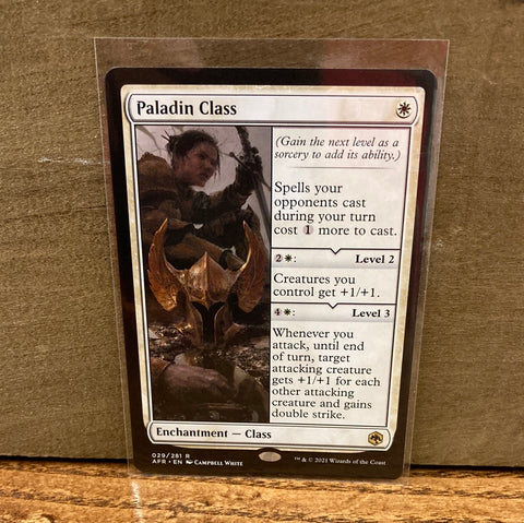 Paladin Class
