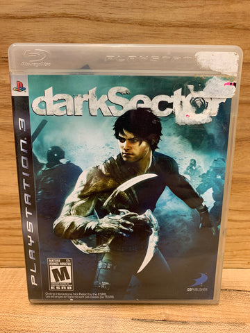 Dark Sector