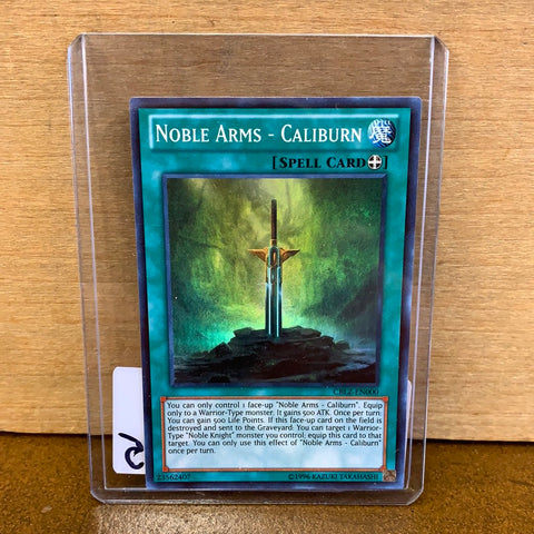 Noble Arms - Caliburn