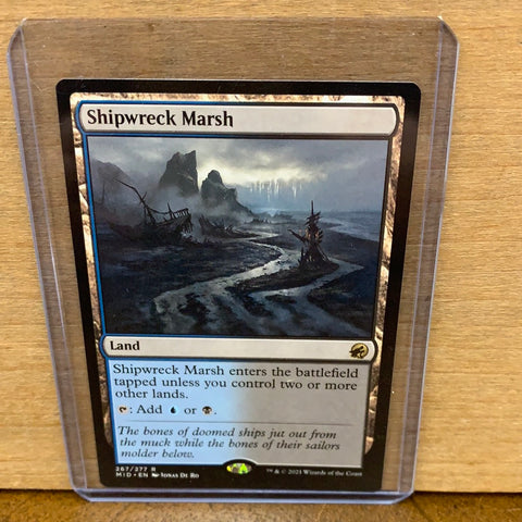 Shipwreck Marsh