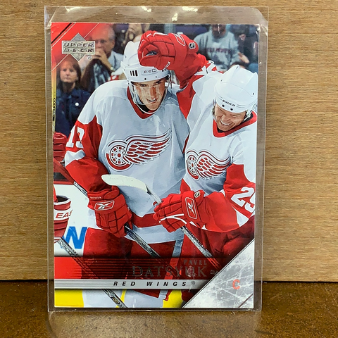 Pavel Datsyuk: Detroit Red Wings(2005/06)