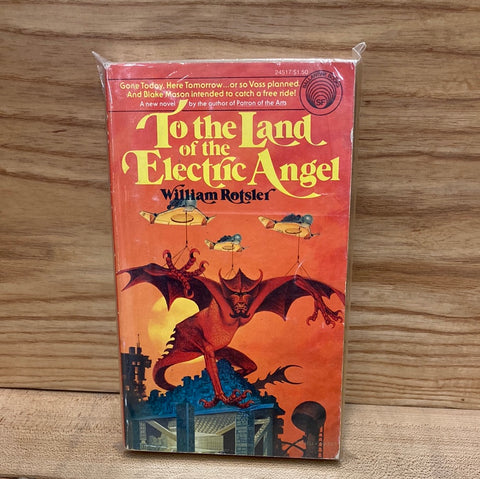To the Land of the Electric Angel