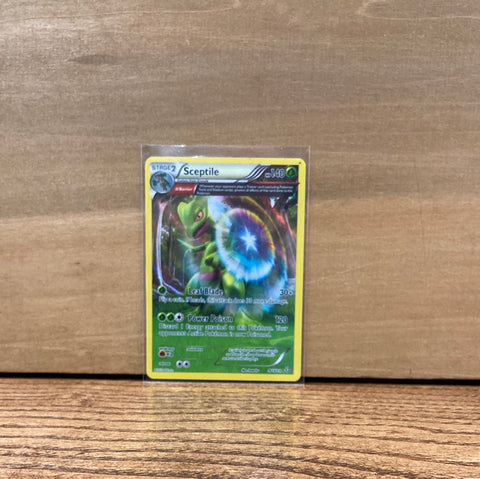 Sceptile(Holo)(Full Art)
