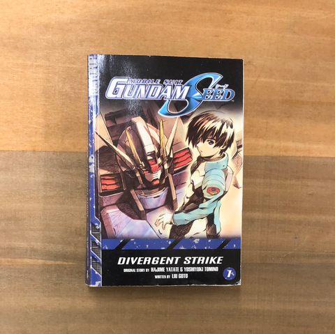Gundam Seed Divergent Strike Vol 1