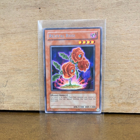 Revival Rose