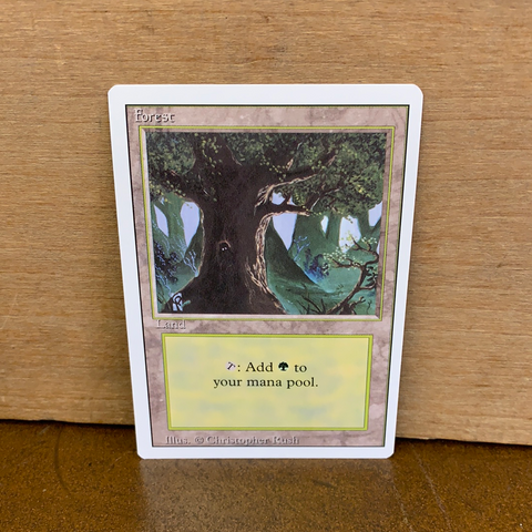Forest