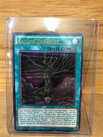 Fallen Paradise(DUSA-EN031)