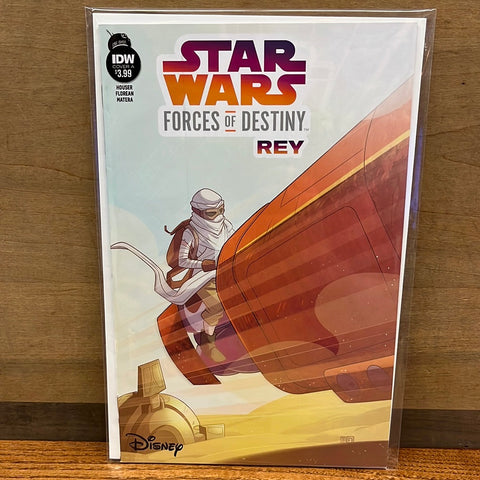 Forces of Destiny: Rey