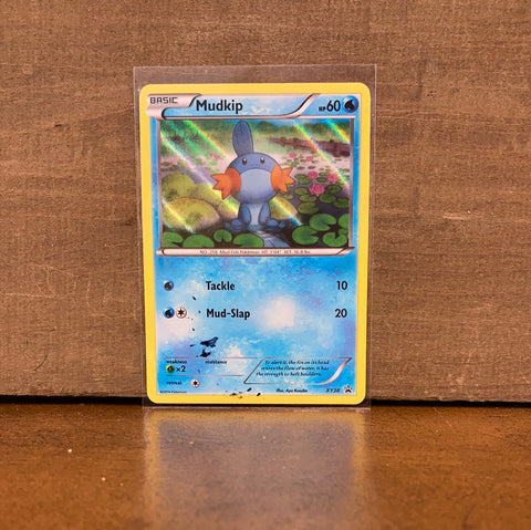 Mudkip(Holo)