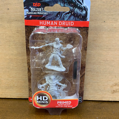 Nolzur's Marvelous Miniatures: Human Druid(Male)