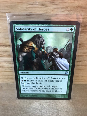 Solidarity of Heroes