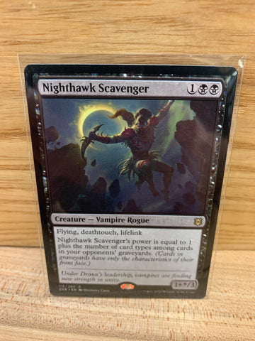 Nighthawk Scavenger