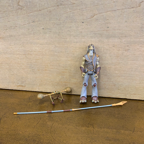 Gungan Warrior