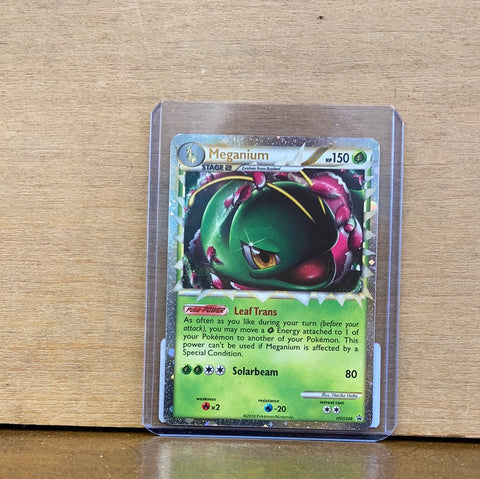 Meganium(Prime)