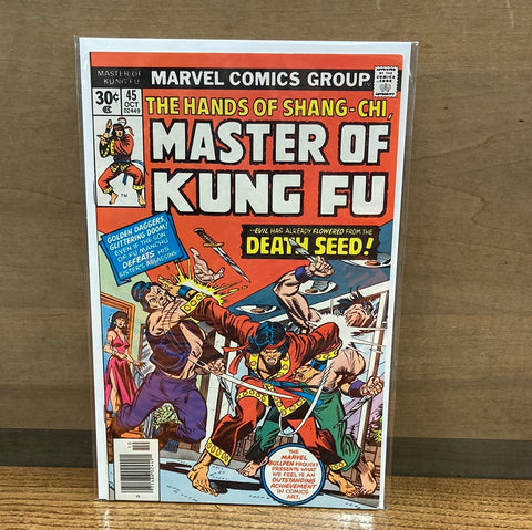 Master of Kung Fu #45